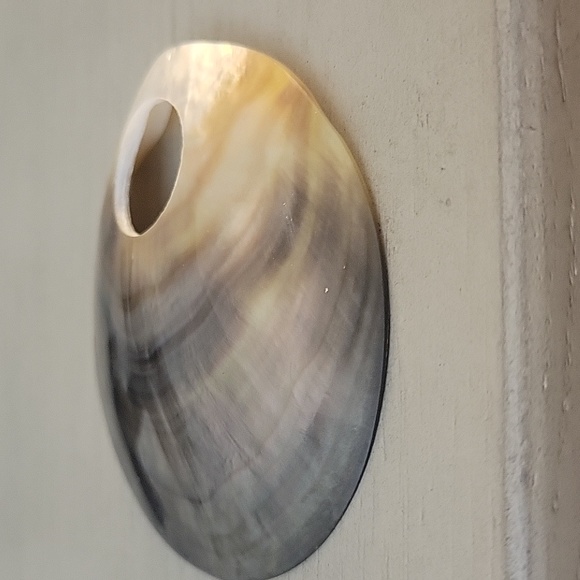 Abalone Shell - Picture 7 of 7